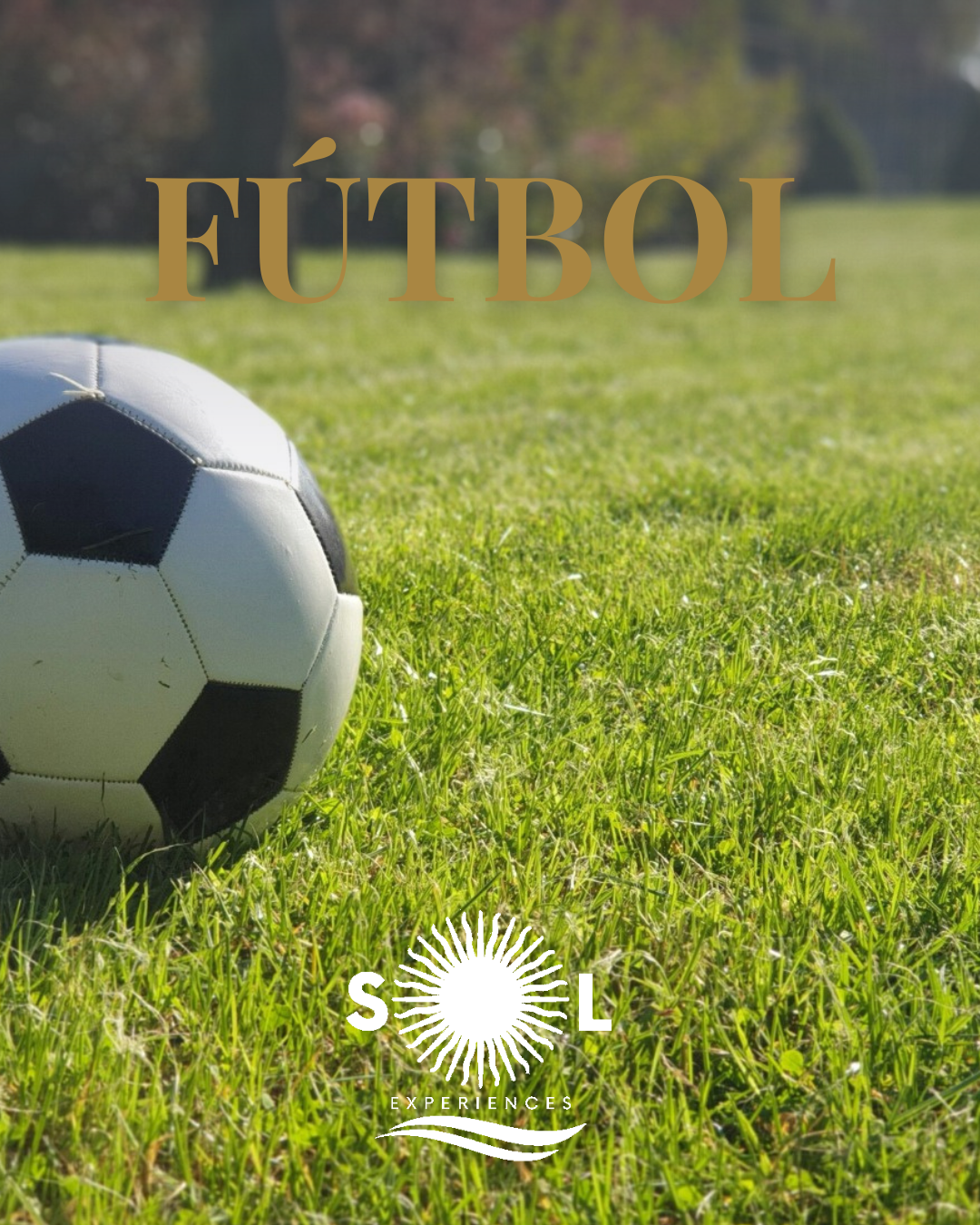 Fútbol LATAM Fútbol Sudamericano
